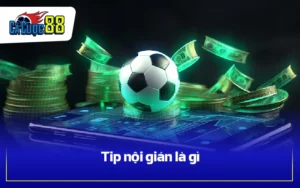 Tip nội gián là gì