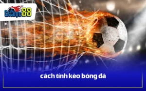 cách tính kèo bóng đá